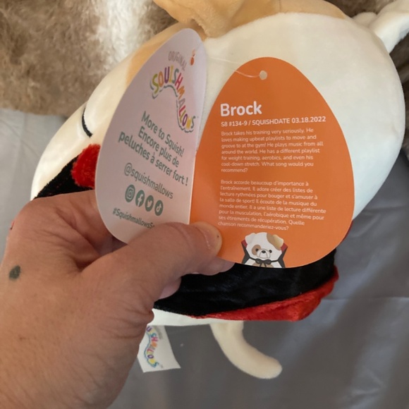 Brock the dog in costume squishmallow - Picture 7 of 7